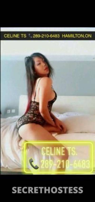 Celine 29Yrs Old Escort Hamilton Image - 11