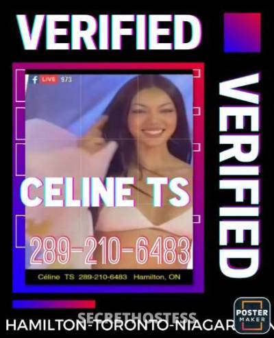 Celine💋 29Yrs Old Escort Hamilton Image - 8