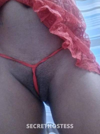 IttyBittySusie 20Yrs Old Escort Stockton CA Image - 6