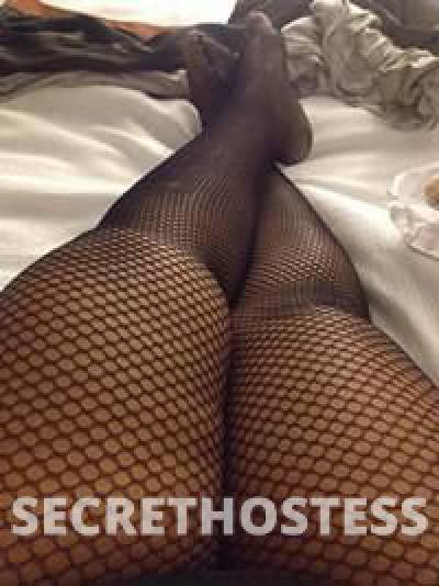 MsKitty 27Yrs Old Escort San Francisco CA Image - 8