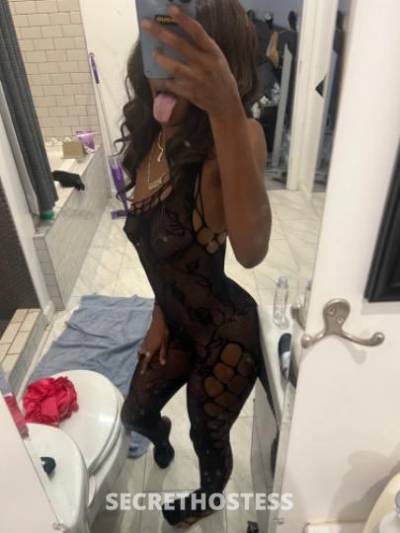 21 Year Old Escort Los Angeles CA - Image 3