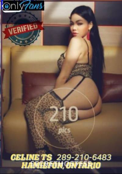 TSCELINE 29Yrs Old Escort Brantford Image - 2