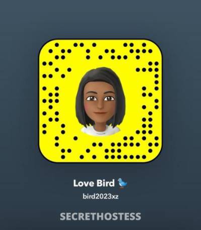 26 year old Escort in Albany NY Young Sexy and Horny Girl Can you handle me Incall Outcall 