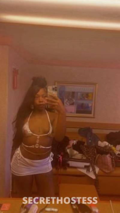 Angelica 24Yrs Old Escort Boston MA Image - 6