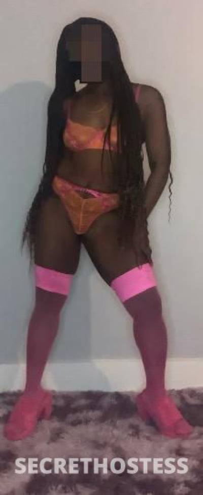 Bianca 26Yrs Old Escort Worcester MA Image - 2