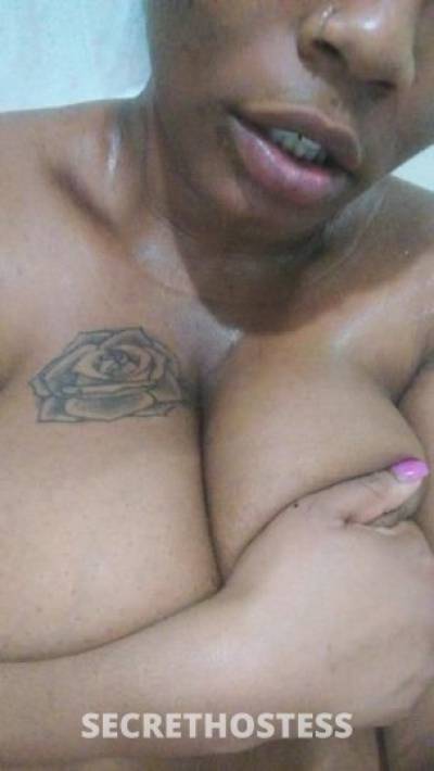 Diamond 23Yrs Old Escort Chicago IL Image - 3