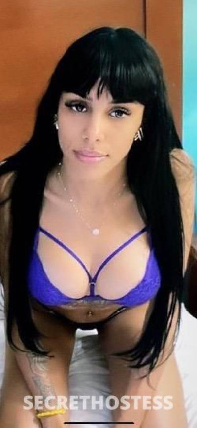 Melody 23Yrs Old Escort Chicago IL Image - 4