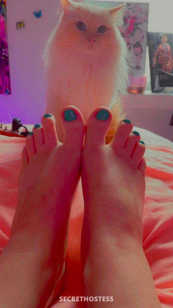 Marcie 28Yrs Old Escort Size 6 167CM Tall Auburn AL Image - 0