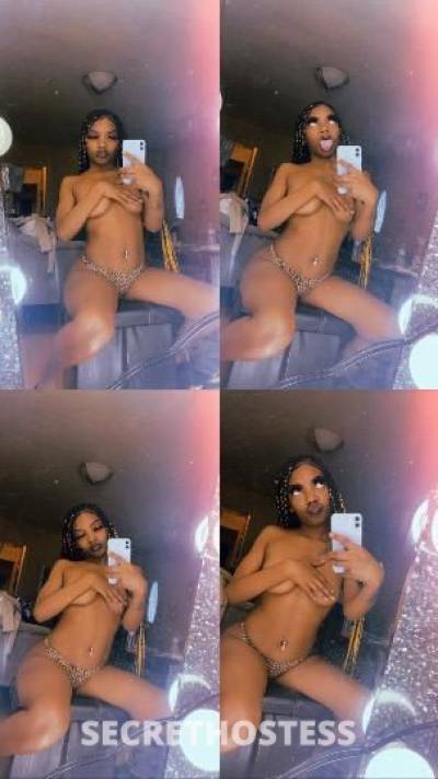 19Yrs Old Escort Flint MI Image - 1