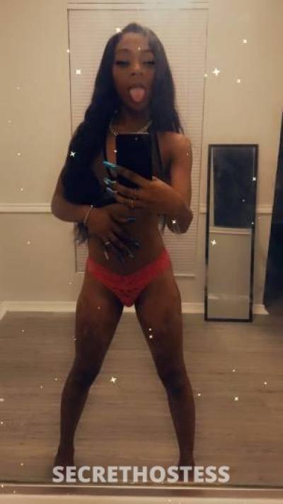 23Yrs Old Escort Houston TX Image - 1