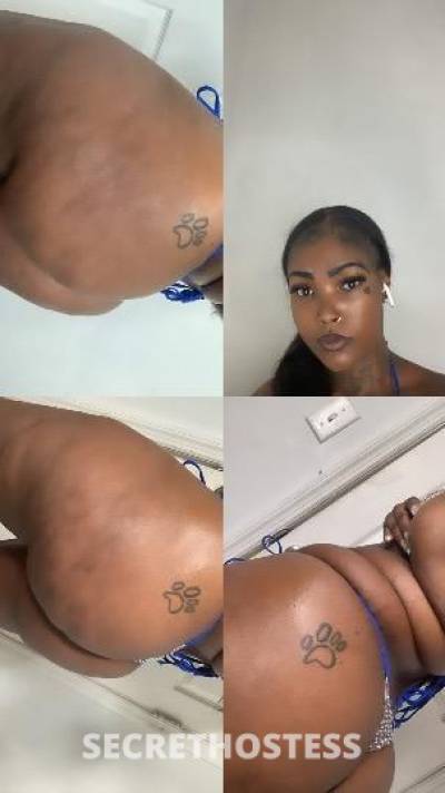 23Yrs Old Escort Raleigh NC Image - 0