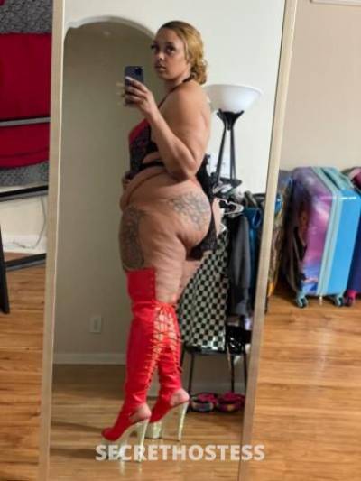 24 Year Old Escort Houston TX - Image 2