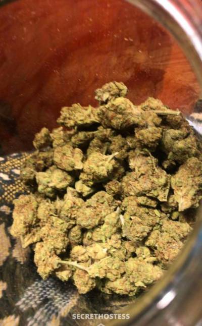 Rosemary 26Yrs Old Escort 167CM Tall Tucson AZ Image - 4