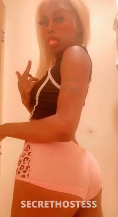 20Yrs Old Escort 154CM Tall Chicago IL Image - 1