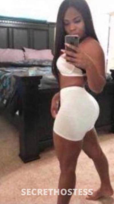 22Yrs Old Escort Concord CA Image - 0