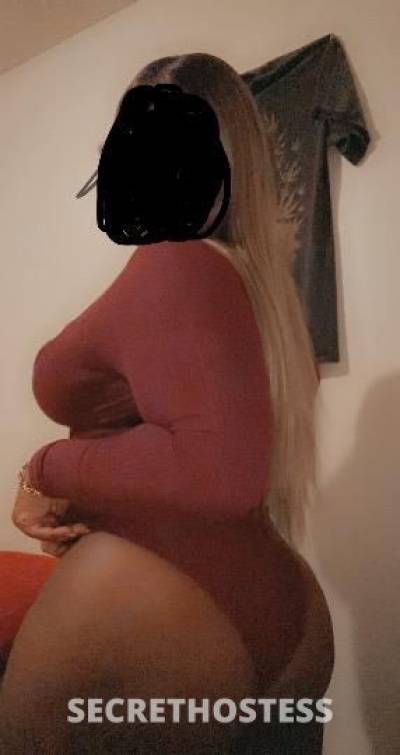 26Yrs Old Escort Chicago IL Image - 2