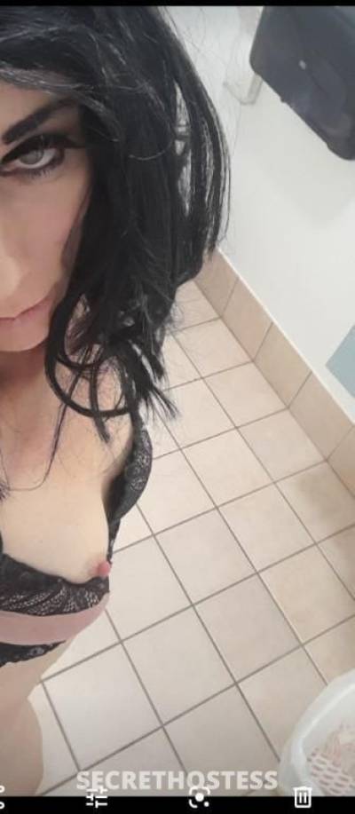 34Yrs Old Escort Size 6 Townsville Image - 7