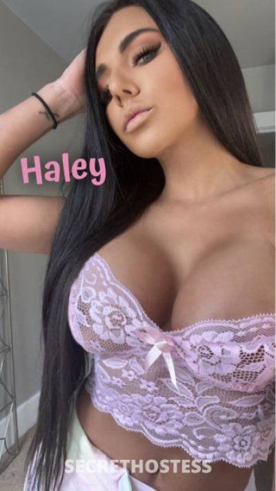 Haley 26Yrs Old Escort 160CM Tall Pittsburgh PA Image - 0