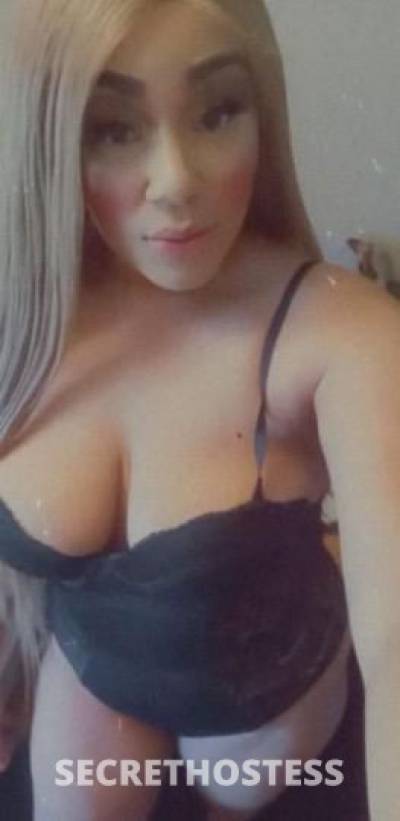 Haley 28Yrs Old Escort Little Rock AR Image - 2