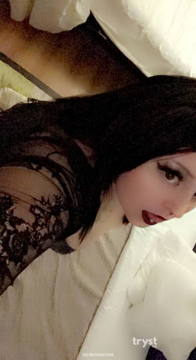 Laurel 20Yrs Old Escort 167CM Tall Fresno CA Image - 0