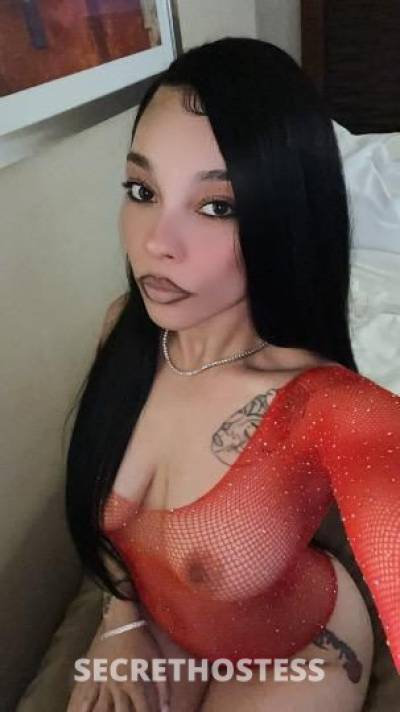 23 year old Italian Escort in Mendocino CA New Hot ITALIAN