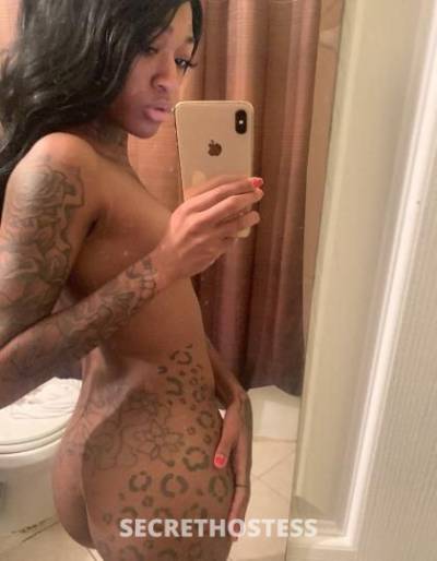 24Yrs Old Escort Jacksonville FL Image - 3