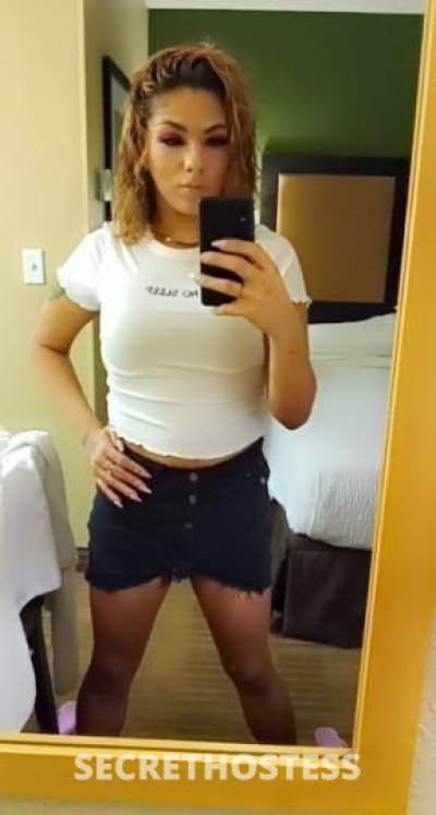 27Yrs Old Escort Jacksonville FL Image - 1