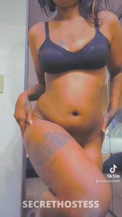 29 year old Escort in New Haven CT alley cat baby