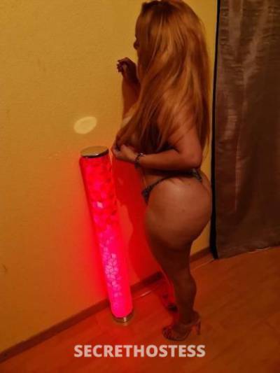 29Yrs Old Escort Los Angeles CA Image - 2