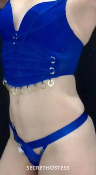 40Yrs Old Escort Size 8 167CM Tall Adelaide Image - 0
