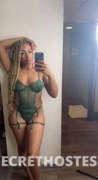 Amelia 29Yrs Old Escort Iowa City IA Image - 1