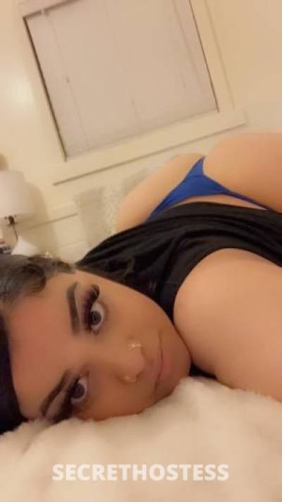 Gianna 23Yrs Old Escort San Diego CA Image - 3