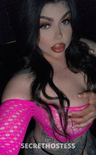 Sierra 27Yrs Old Escort 170CM Tall San Jose CA Image - 0