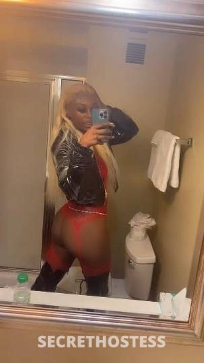 Starr 21Yrs Old Escort San Francisco CA Image - 0