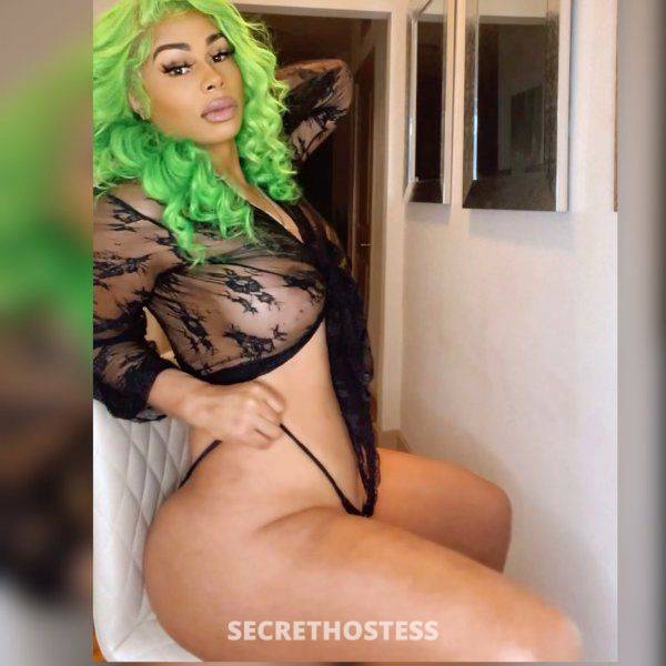 23Yrs Old Escort 175CM Tall Fort Lauderdale FL Image - 3