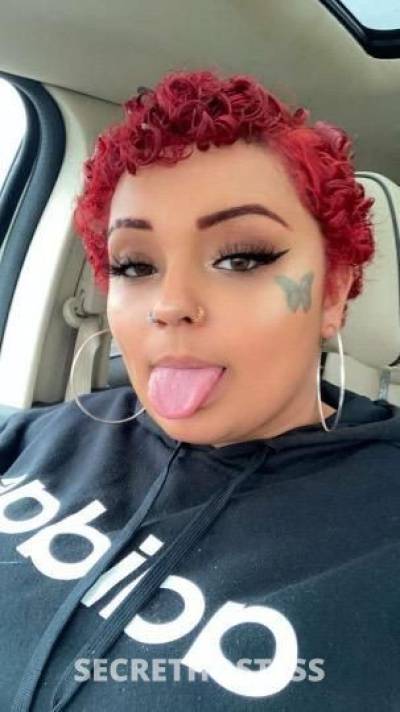 24Yrs Old Escort Eastern Kentucky KY Image - 2