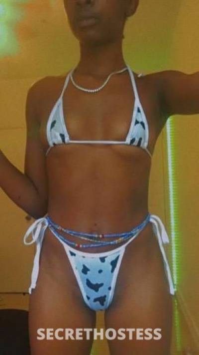 24Yrs Old Escort West Palm Beach FL Image - 2