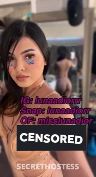 25 year old Asian Escort in Los Angeles CA Sexy asian babe