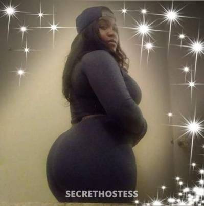 33Yrs Old Escort Tampa FL Image - 1