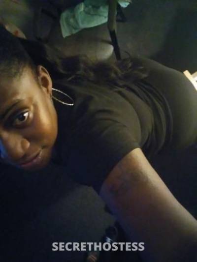 37Yrs Old Escort Tampa FL Image - 3