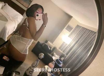 25Yrs Old Escort North Jersey NJ Image - 1