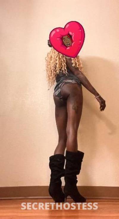 27Yrs Old Escort 157CM Tall Bronx NY Image - 3