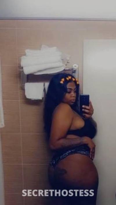 27Yrs Old Escort Albany NY Image - 3