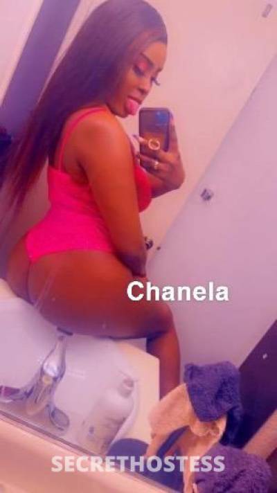 27Yrs Old Escort Buffalo NY Image - 2