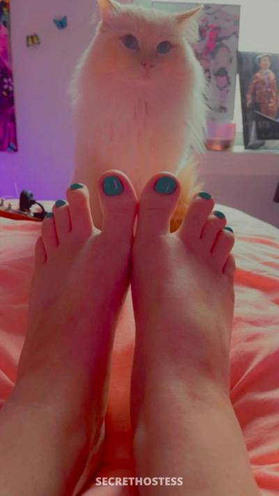 Gracie 25Yrs Old Escort Watertown NY Image - 5