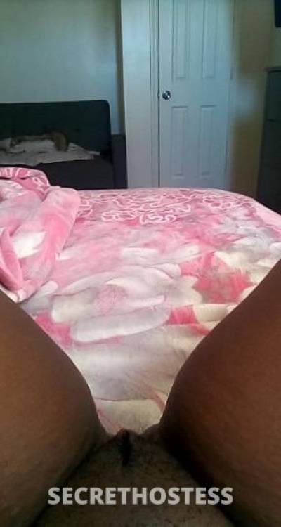 😍Shygirl😍 30Yrs Old Escort Macon GA Image - 6