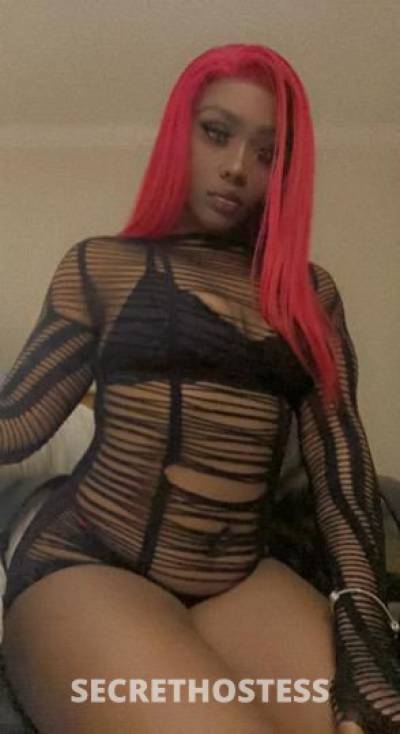 21Yrs Old Escort Raleigh NC Image - 0