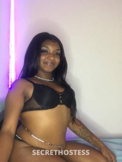 25Yrs Old Escort Raleigh NC Image - 0