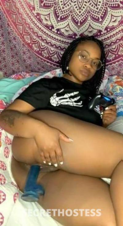 26 year old Escort in Wilmington NC Young Horney Curvy Ass And Clean Pussy Wanna Fuck me Incall 