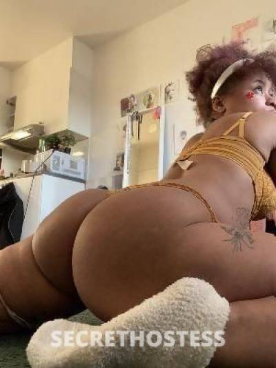 100 Eat my pusssy Or Anal Fuck My As Incall Outcall and Car  in Lawton OK